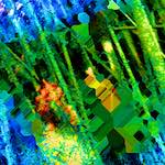 image: Image from the photoset &lsquo;damage (ccxcvii)&rsquo;.