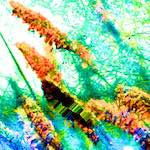 image: Image from the photoset &lsquo;damage (ccxcvii)&rsquo;.