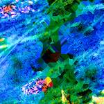 image: Image from the photoset &lsquo;damage (ccxcvii)&rsquo;.