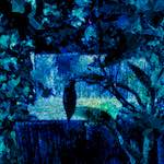 image: Image from the photoset &lsquo;damage (ccxcviii)&rsquo;.