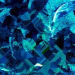 image: Image from the photoset &lsquo;damage (ccxcviii)&rsquo;.