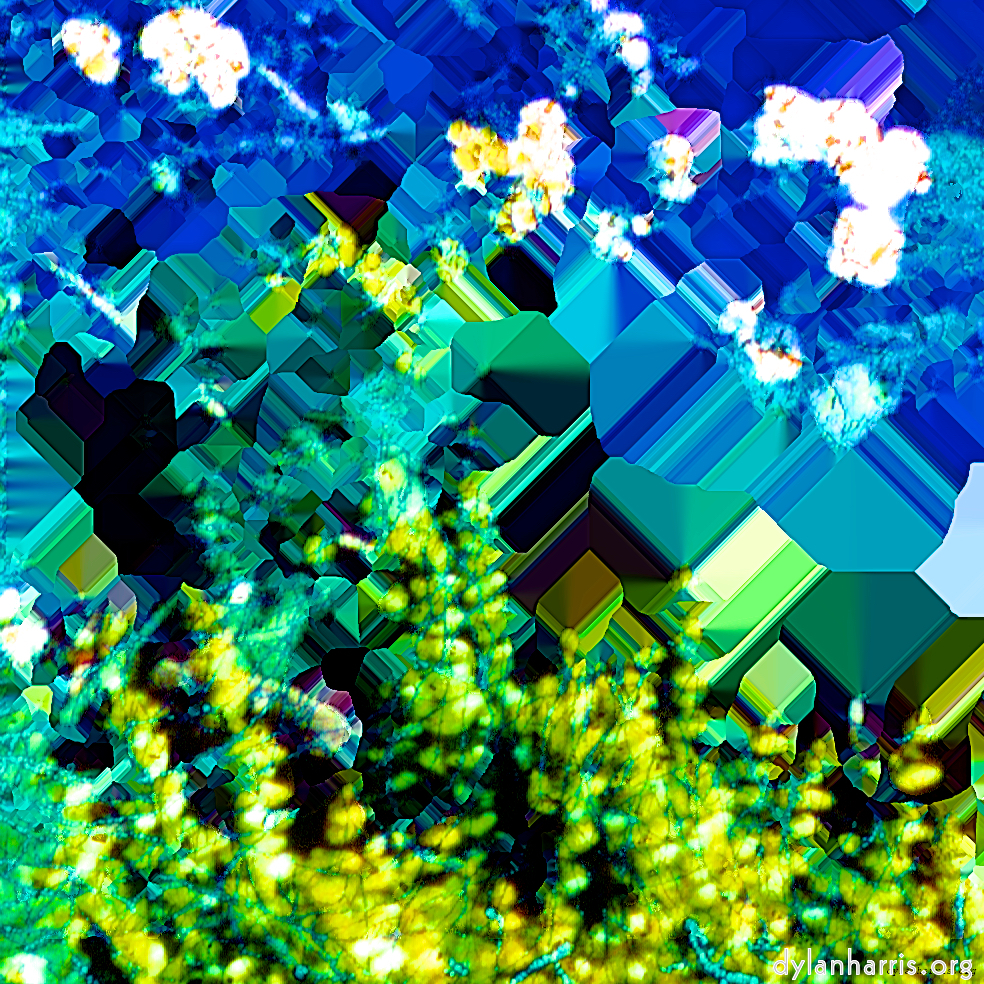 image: This is &lsquo;damage (ccic) 5&rsquo;.