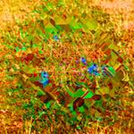 image: Image from the photoset &lsquo;damage (ccc)&rsquo;.