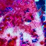 image: Image from the photoset &lsquo;damage (ccci)&rsquo;.