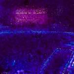 image: Image from the photoset &lsquo;damage (ccciii)&rsquo;.