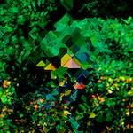 image: Image from the photoset &lsquo;damage (ccciii)&rsquo;.