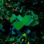 image: Image from the photoset &lsquo;damage (ccciv)&rsquo;.