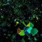 image: Image from the photoset &lsquo;damage (ccciv)&rsquo;.