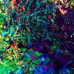 image: Image from the photoset &lsquo;damage (ccciv)&rsquo;.