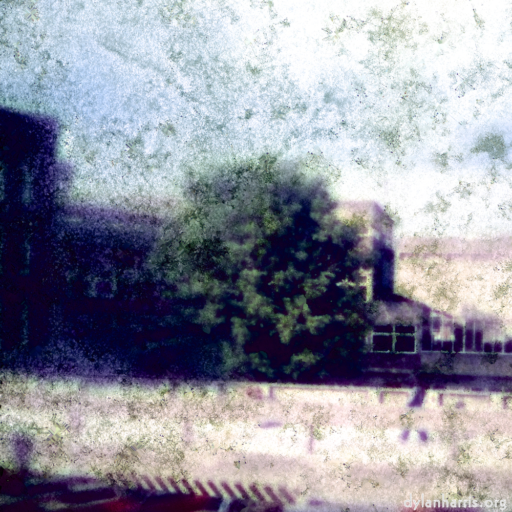 image: This is &lsquo;damage (xv) 6&rsquo;.