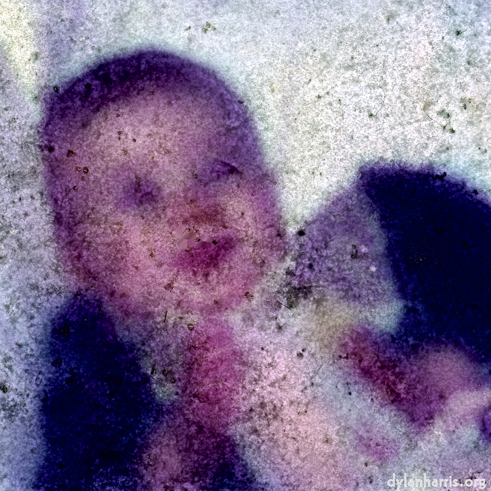 image: This is &lsquo;damage (xvi) 1&rsquo;.