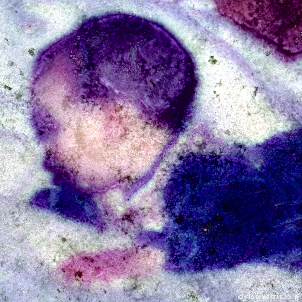 image: This is &lsquo;damage (xvi) 3&rsquo;.