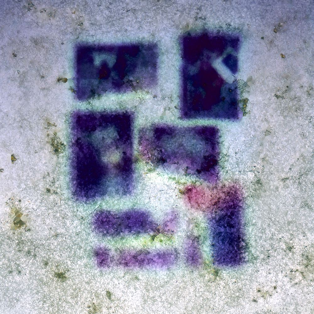 image: This is &lsquo;damage (xvii) 1&rsquo;.