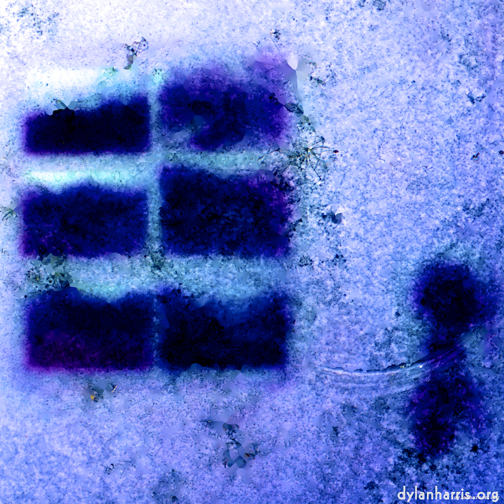 image: This is &lsquo;damage (xvii) 5&rsquo;.