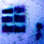 image: Image from the photoset &lsquo;damage (xvii)&rsquo;.