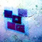 image: Image from the photoset &lsquo;damage (xviii)&rsquo;.