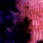 First image from the photoset 'damage (v)'.