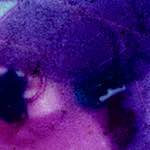 Third image from the photoset 'damage (v)'.