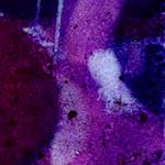 Fourth image from the photoset 'damage (v)'.