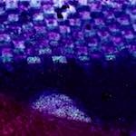 Sixth image from the photoset 'damage (v)'.