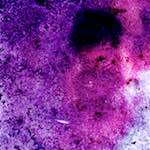 Eighth image from the photoset 'damage (v)'.