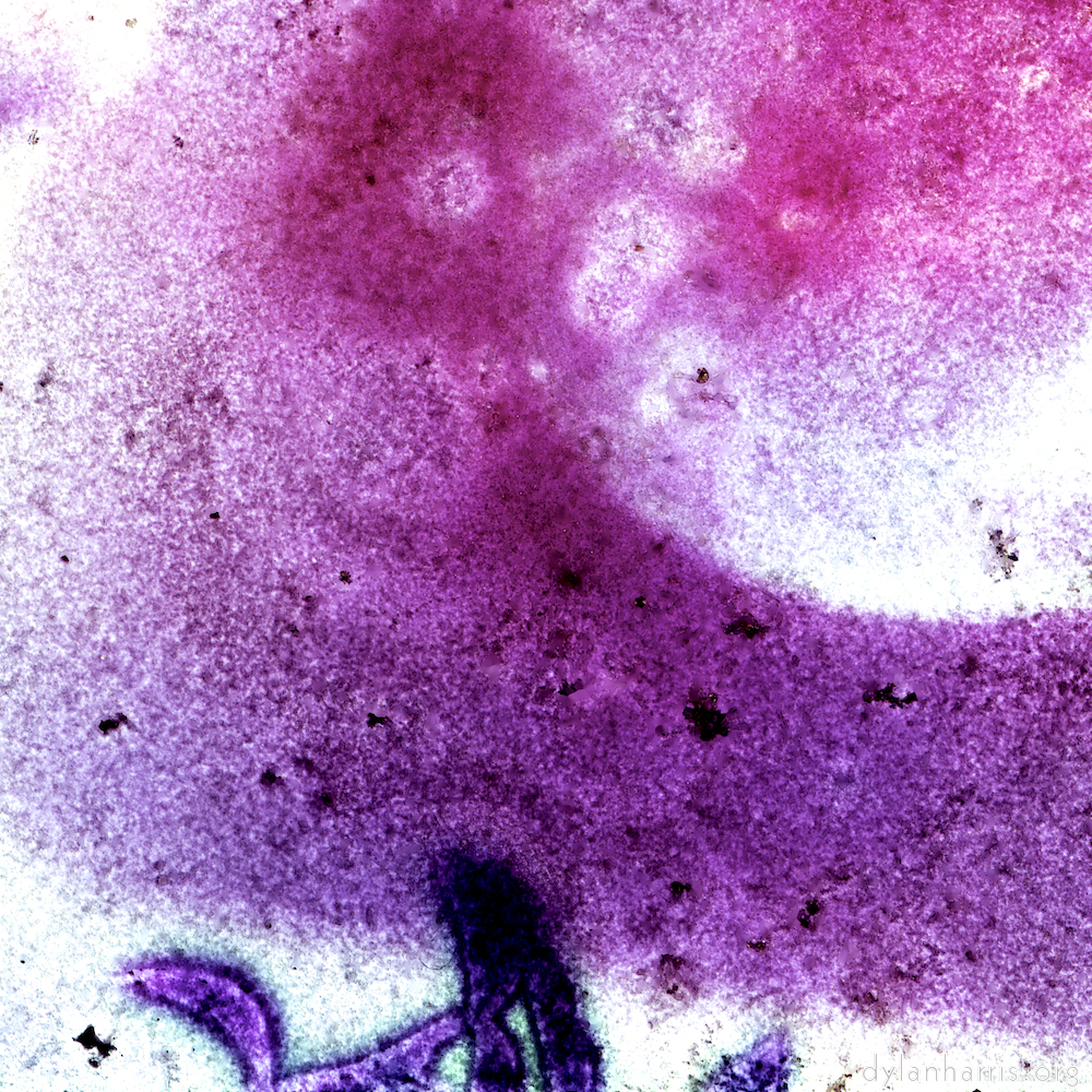 image: This is &lsquo;damage (vi) 2&rsquo;.