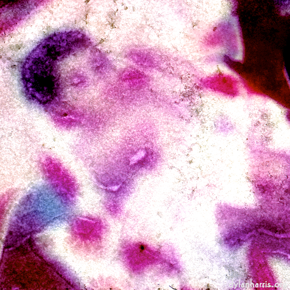 image: This is &lsquo;damage (vi) 5&rsquo;.