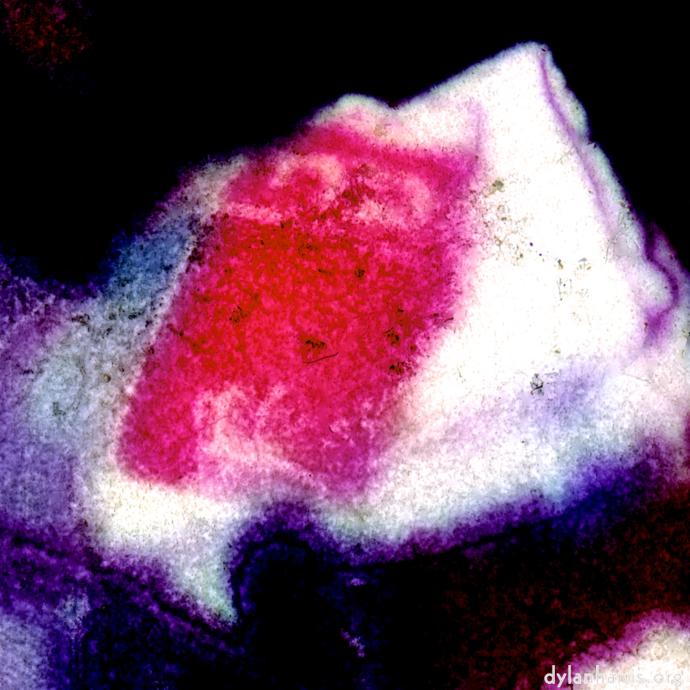 image: This is &lsquo;damage (vi) 6&rsquo;.