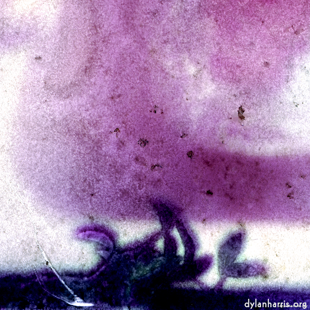 image: This is &lsquo;damage (vi) 8&rsquo;.