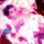 image: Image from the photoset &lsquo;damage (vi)&rsquo;.