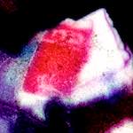 image: Image from the photoset &lsquo;damage (vi)&rsquo;.