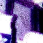 image: Image from the photoset &lsquo;damage (vi)&rsquo;.