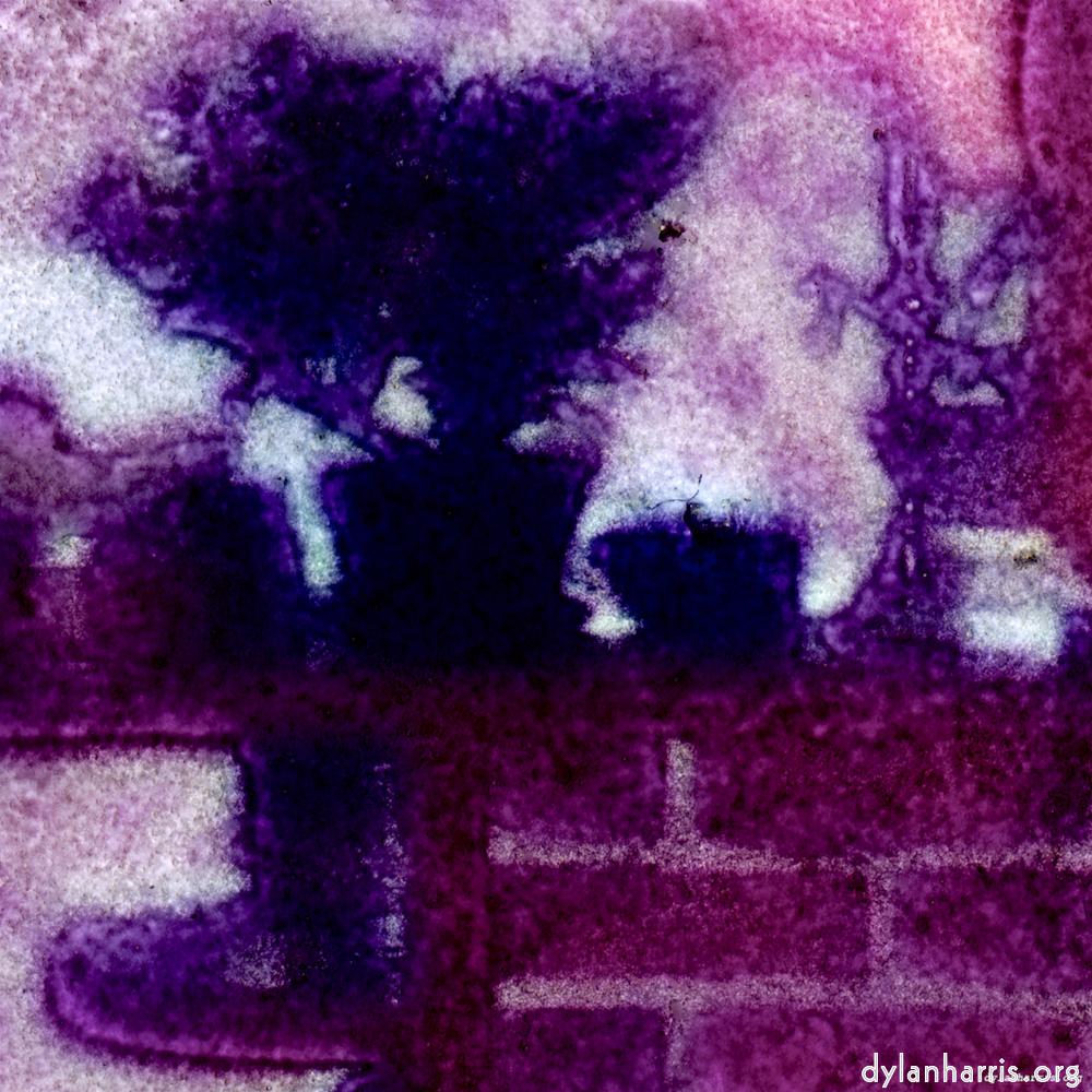 image: This is &lsquo;damage (vii) 3&rsquo;.