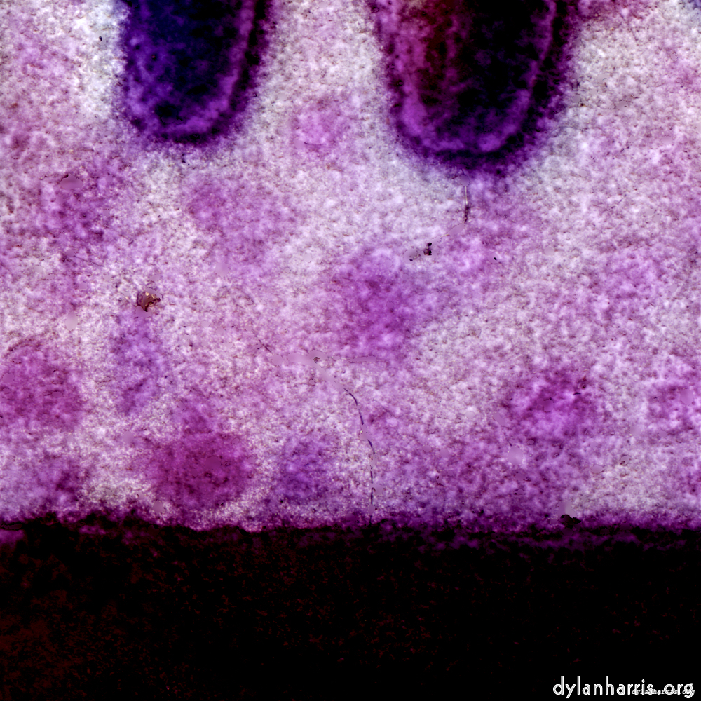 image: This is &lsquo;damage (vii) 6&rsquo;.