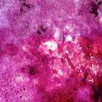 image: Image from the photoset &lsquo;damage (vii)&rsquo;.