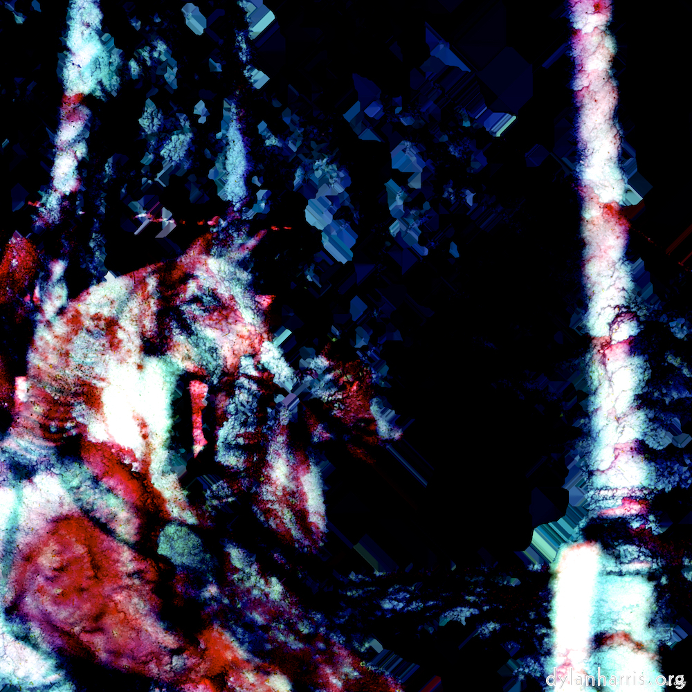 image: This is &lsquo;damage (viii) 5&rsquo;.