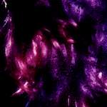 image: Image from the photoset &lsquo;damage (viii)&rsquo;.