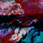 image: Image from the photoset &lsquo;damage (viii)&rsquo;.