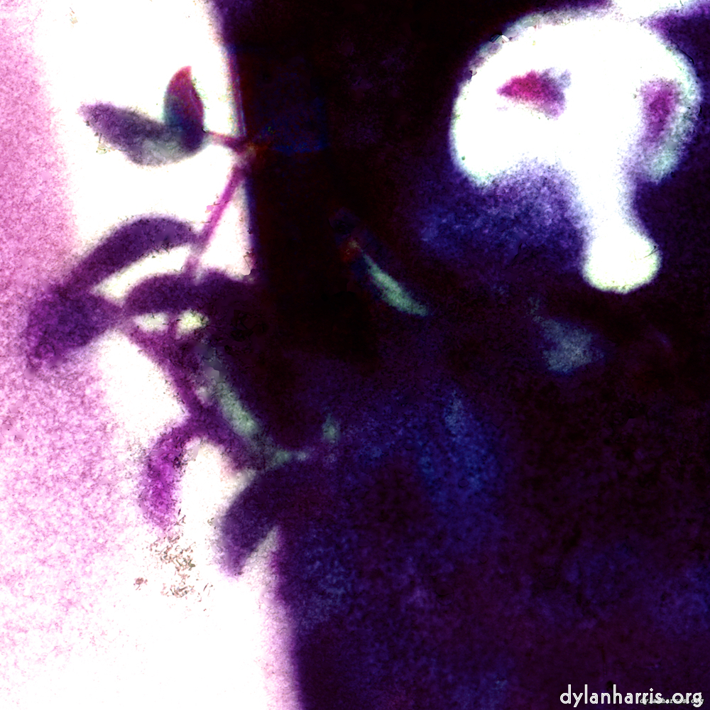 image: This is &lsquo;damage (ix) 5&rsquo;.