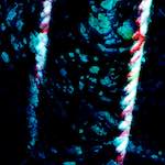 image: Image from the photoset &lsquo;damage (ix)&rsquo;.