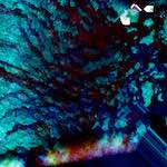 image: Image from the photoset &lsquo;damage (ix)&rsquo;.