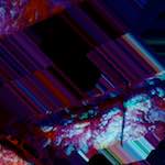 image: Image from the photoset &lsquo;damage (ix)&rsquo;.