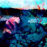 image: Image from the photoset &lsquo;damage (x)&rsquo;.