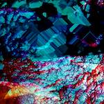 image: Image from the photoset &lsquo;damage (xii)&rsquo;.