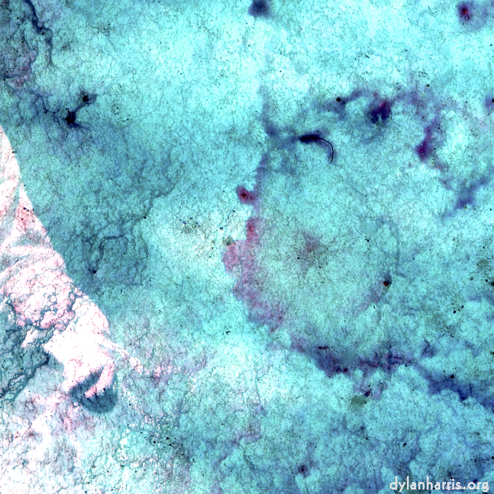 Image: Image 'damage (xiii) 7'.