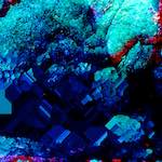 image: Image from the photoset &lsquo;damage (xiii)&rsquo;.