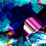 image: Image from the photoset &lsquo;damage (xiii)&rsquo;.