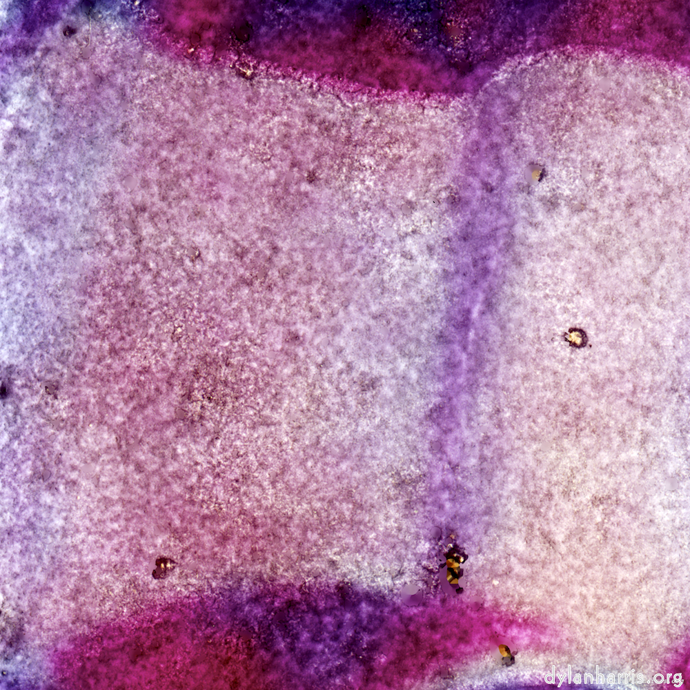 image: This is &lsquo;damage (xiv) 6&rsquo;.