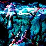 image: Image from the photoset &lsquo;damage (xiv)&rsquo;.