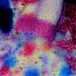 image: Image from the photoset &lsquo;damage (xiv)&rsquo;.